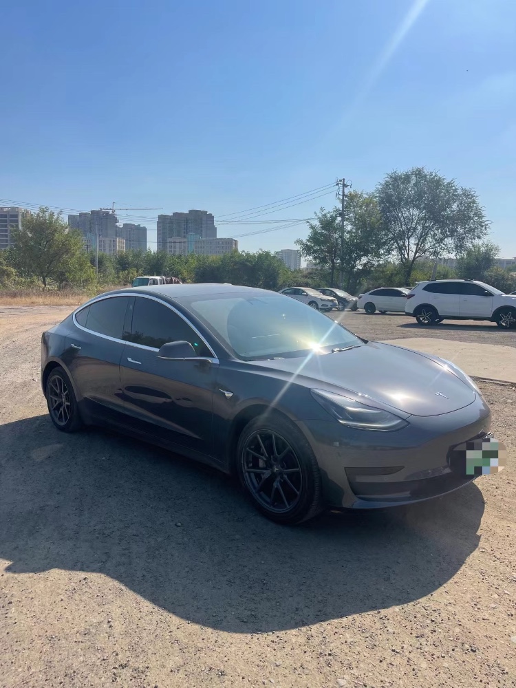 濱州20年特斯拉MODEL 36