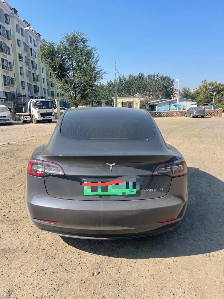 濱州20年特斯拉MODEL 34