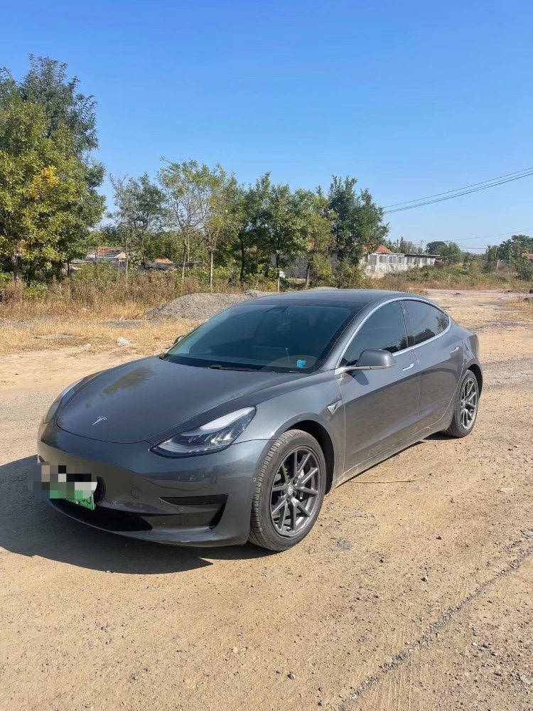 濱州20年特斯拉MODEL 32