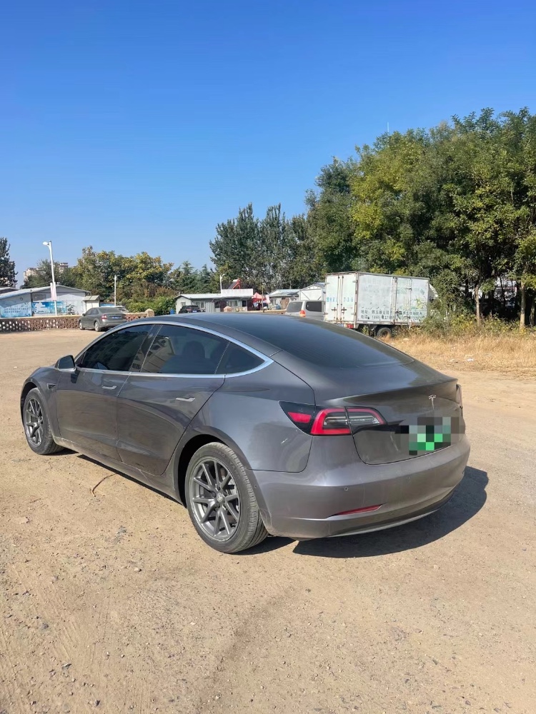 濱州20年特斯拉MODEL 31