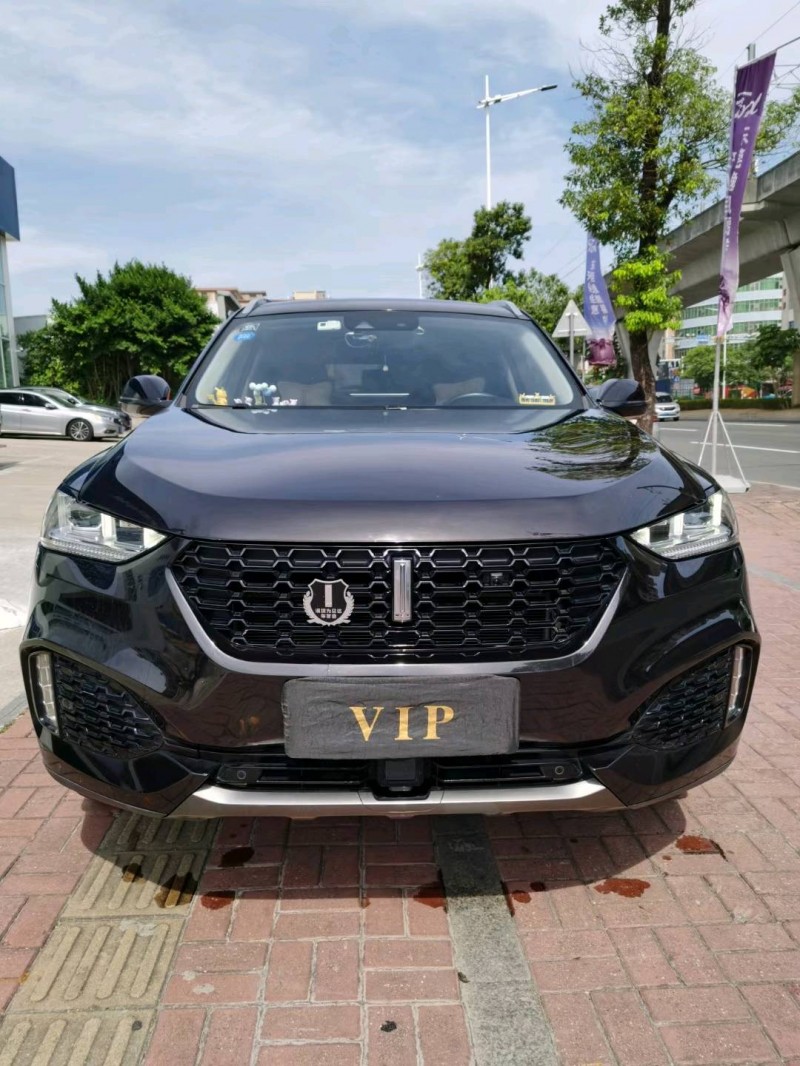 东莞19年长城汽车WEY VV61