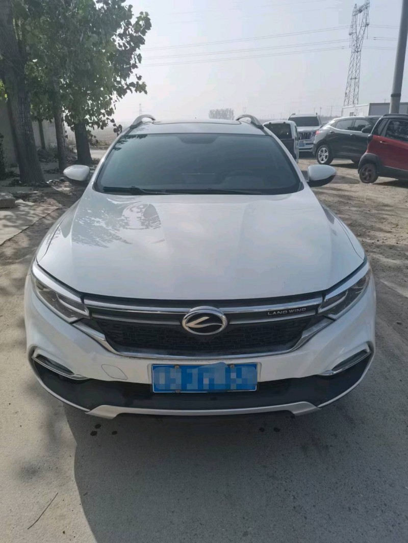 保定19年陆风逍遥1