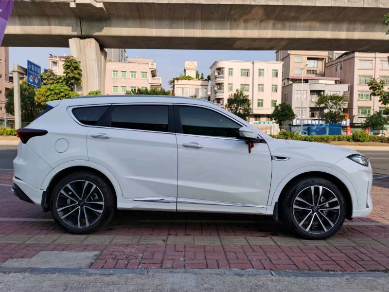 东莞21年奇瑞捷途X704