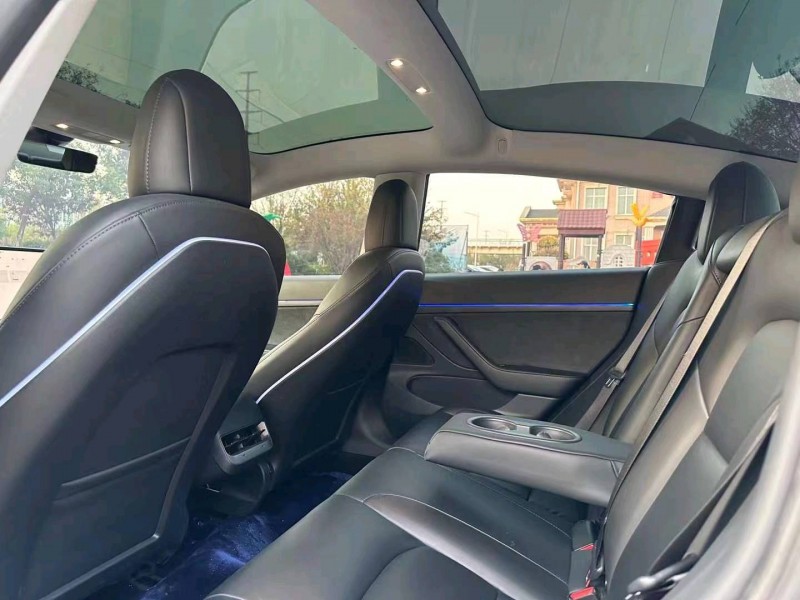 棗莊21年特斯拉MODEL 34