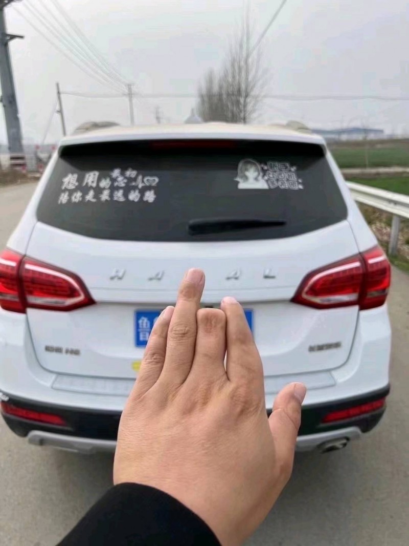 保定20年哈弗H67