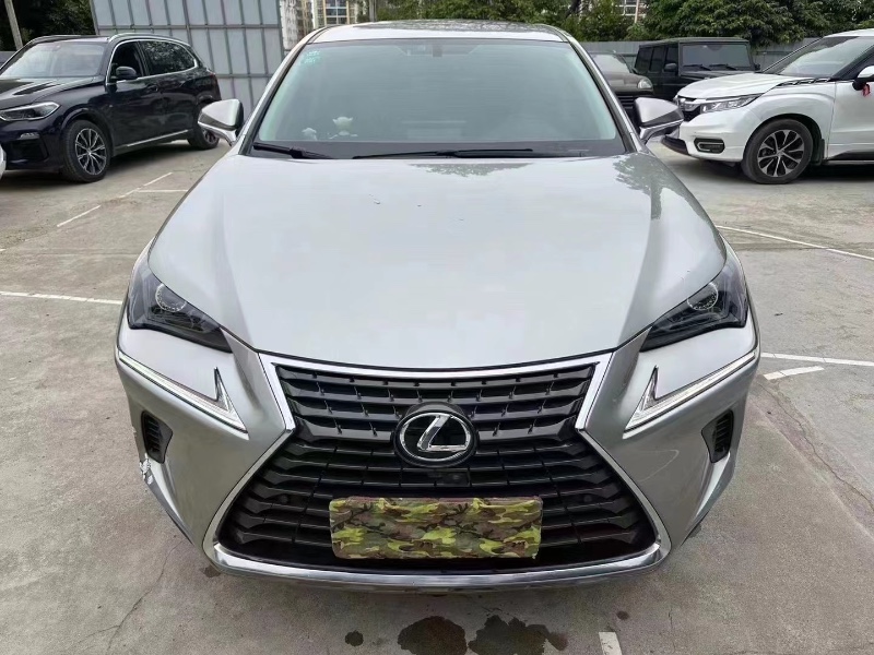 柳州20年雷克薩斯NX1