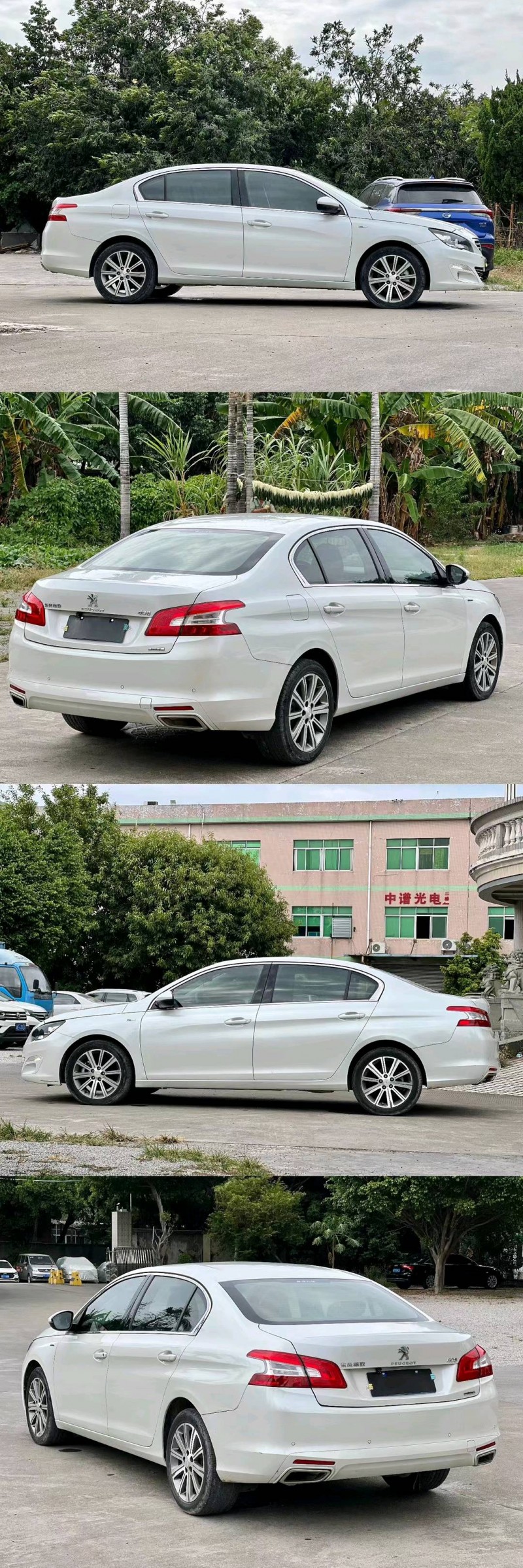 东莞18年标致4086