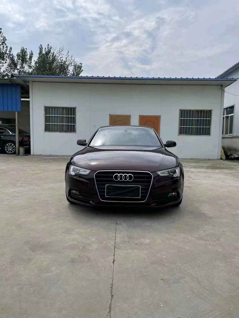 徐州13年奥迪A51