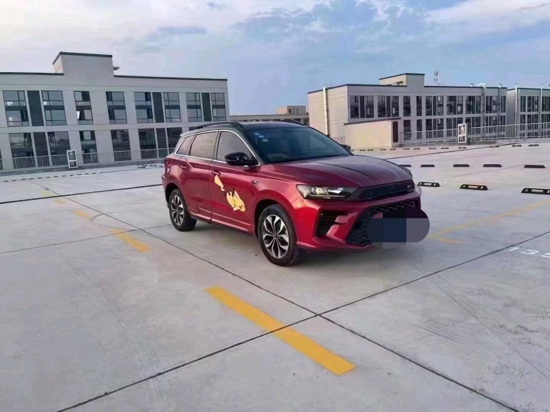 嘉興19年SWM斯威汽車G016