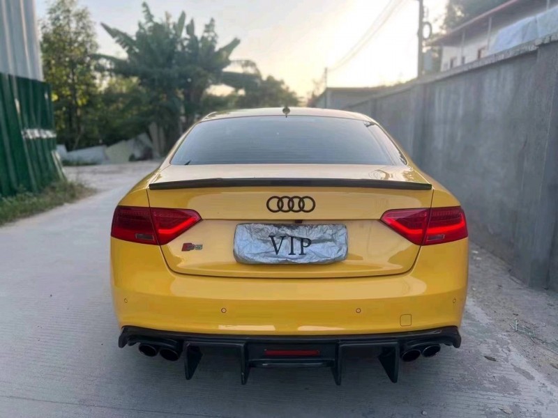 中山15年奥迪S55