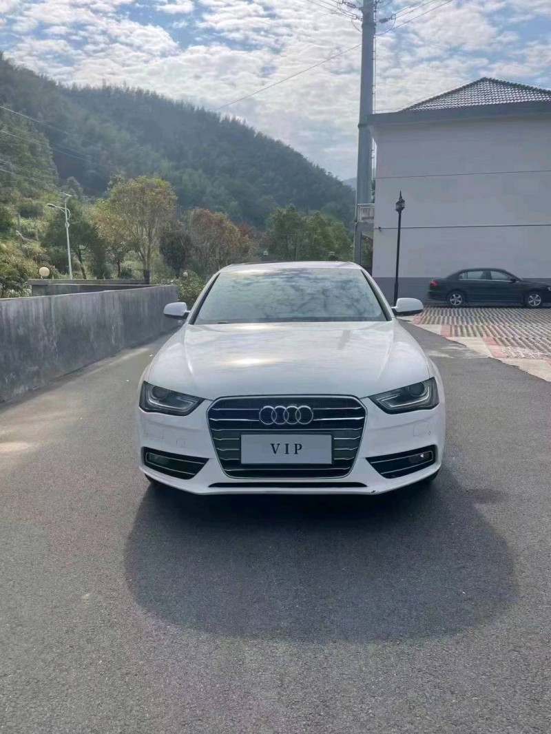宜春14年奥迪A4L9