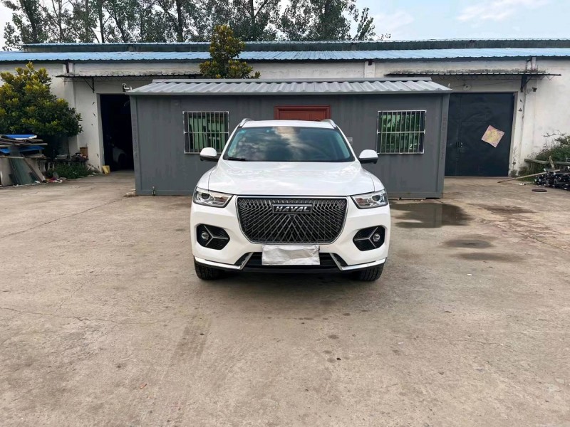 徐州20年哈弗H69