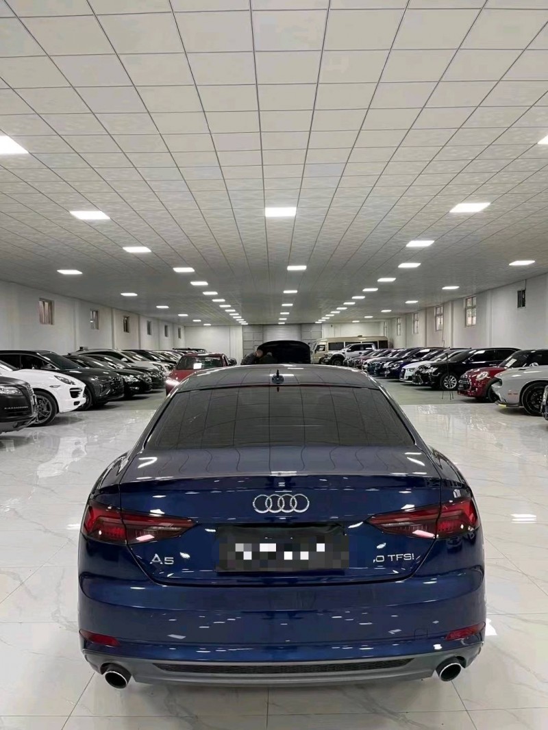 廊坊19年奥迪A59