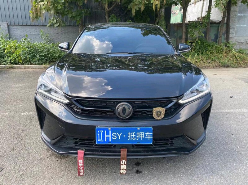 沈阳20年东风奕炫1
