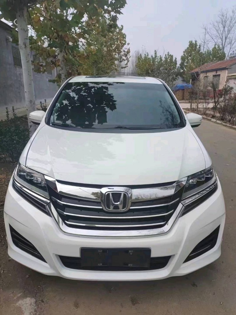 枣庄16年本田艾力绅7