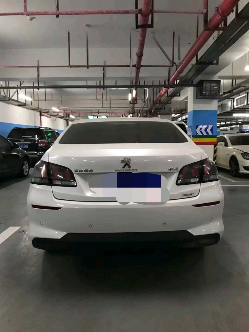 重庆21年标致4087