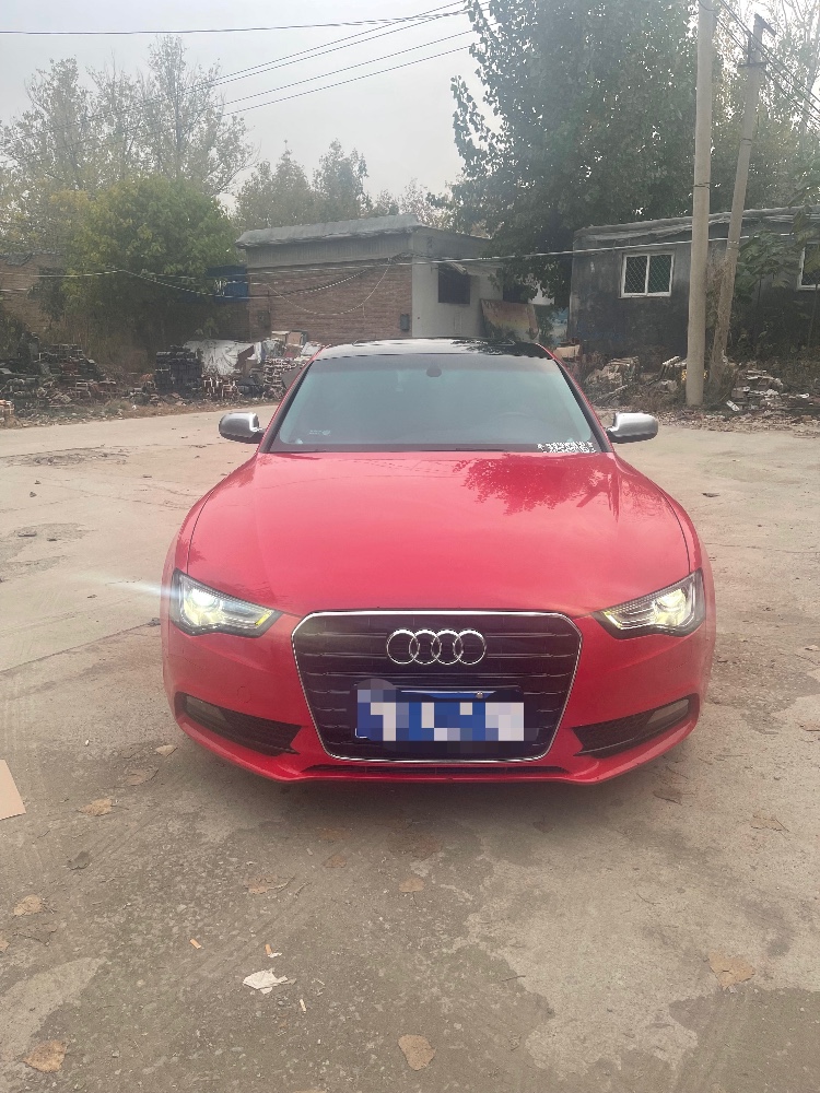 聊城13年奧迪A59
