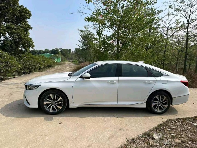 中山19年本田英诗派7