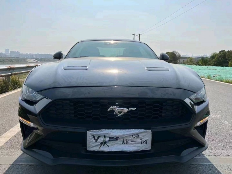 邵阳18年福特野马1