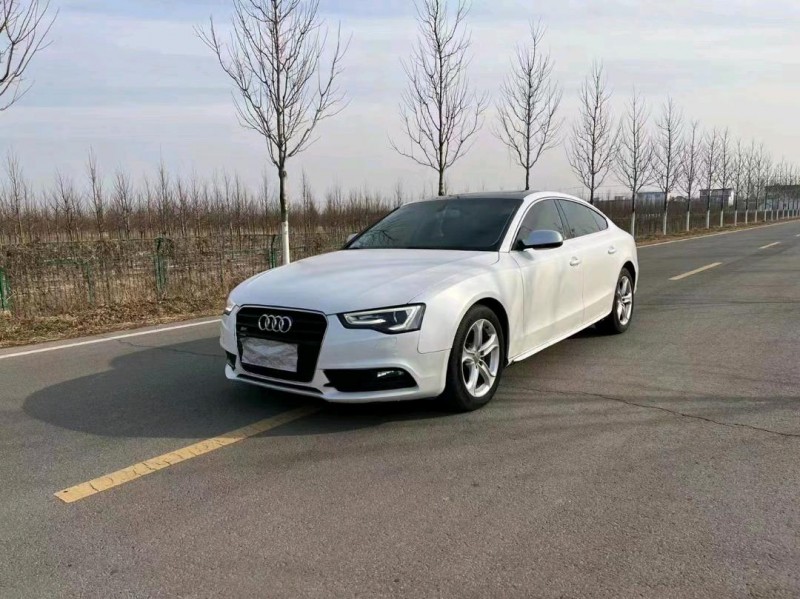 徐州16年奥迪A52