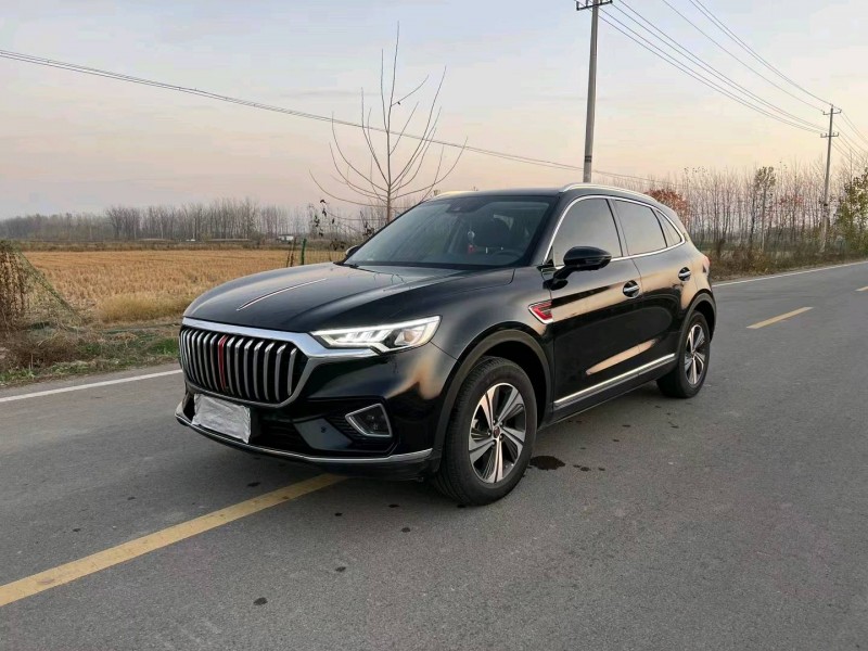 徐州20年红旗HS52