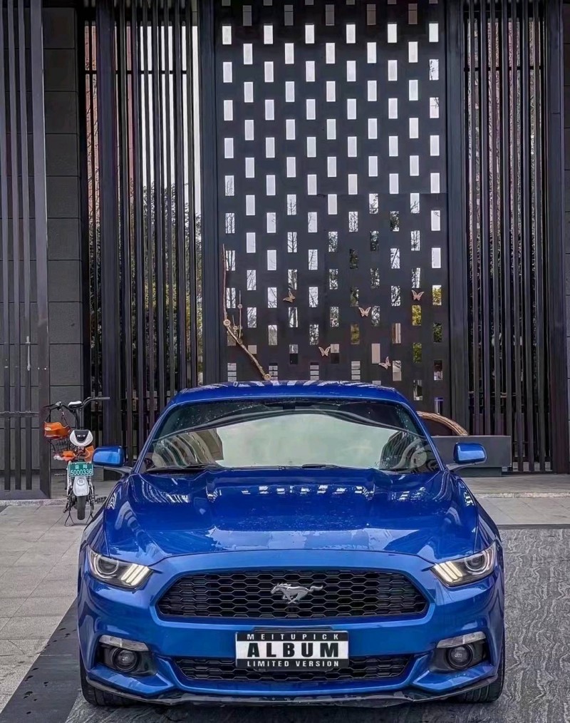 邯郸17年福特野马1