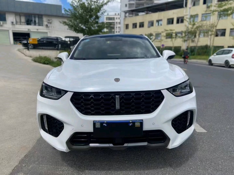 广州18年WEYVV51