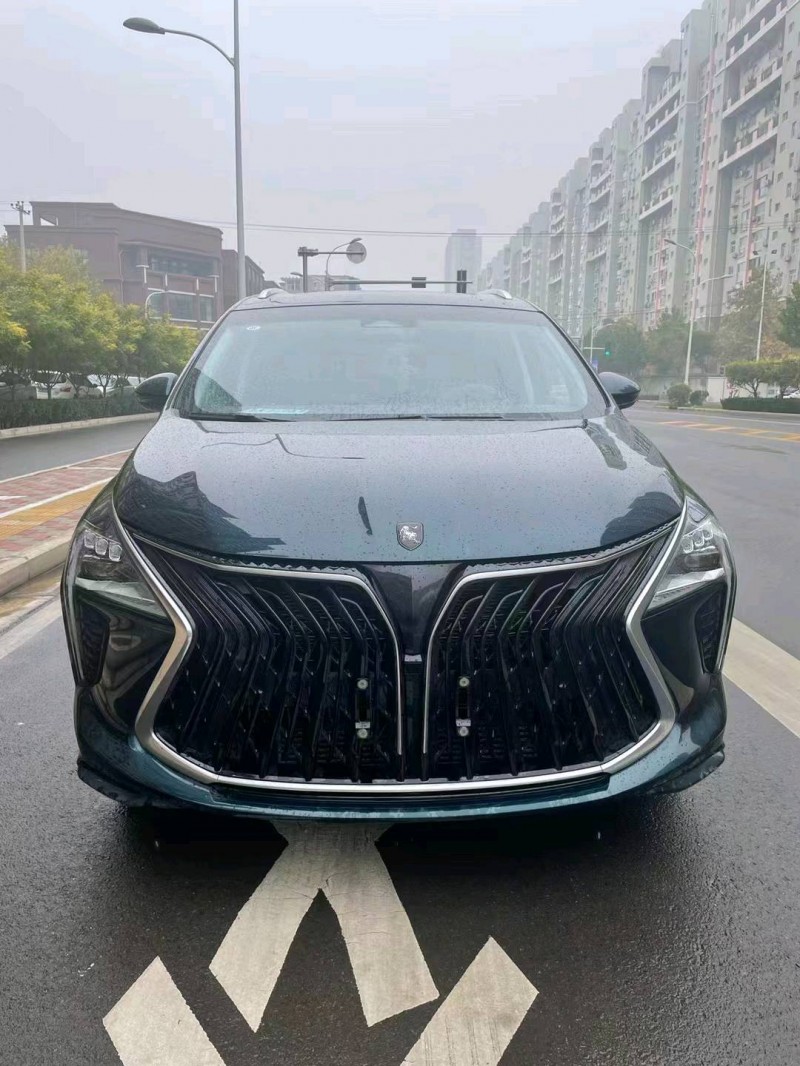 邯郸22年东风风行游艇1