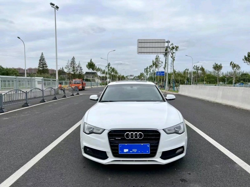 嘉兴13年奥迪A59