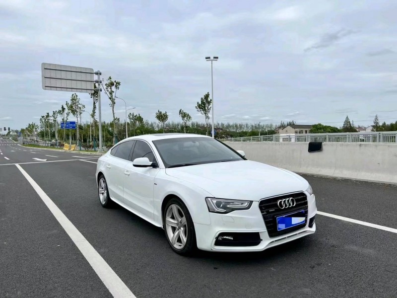 嘉兴13年奥迪A54