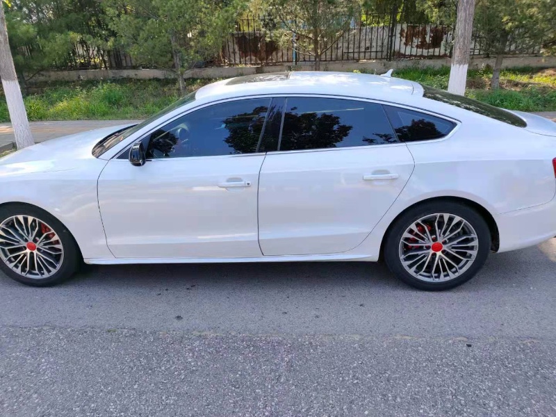 北京13年奥迪A51