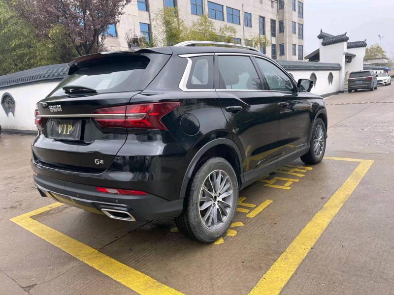 徐州19年SWM斯威汽车G017