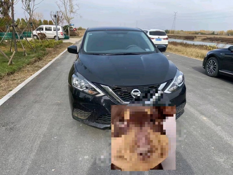 济宁22年日产轩逸1