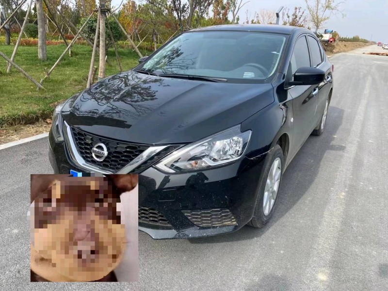 济宁22年日产轩逸2