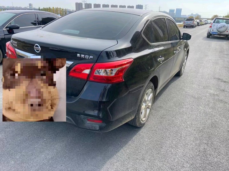 济宁22年日产轩逸6