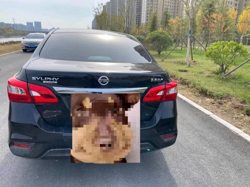 济宁22年日产轩逸8