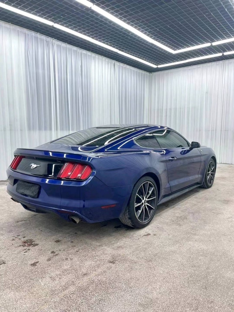 临沂15年福特野马9