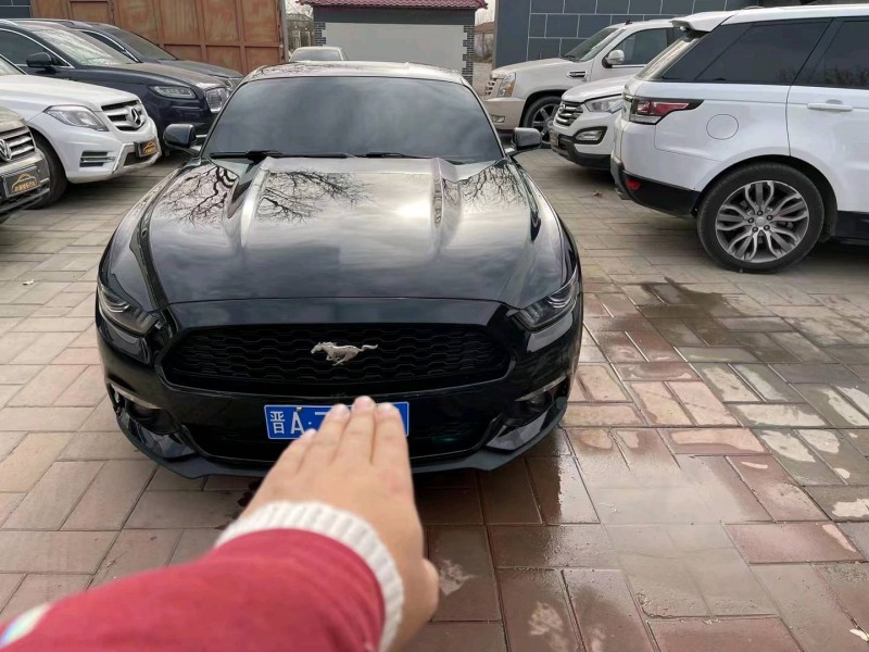 廊坊16年福特野马1