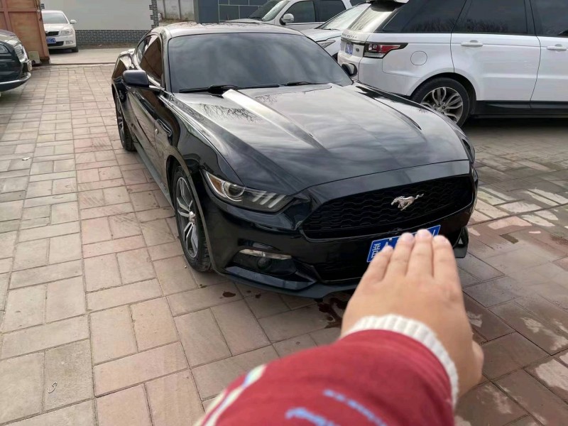 廊坊16年福特野马3