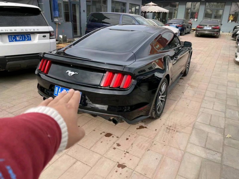 廊坊16年福特野马7