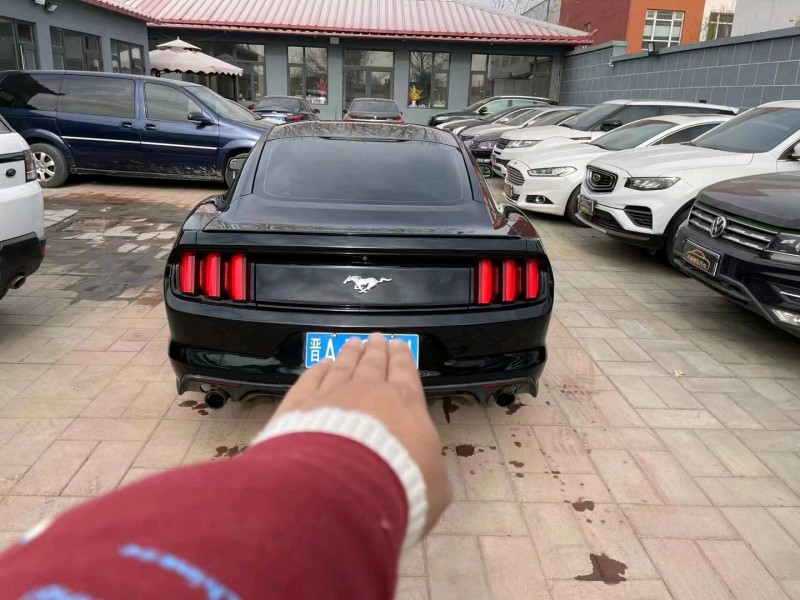 廊坊16年福特野马9