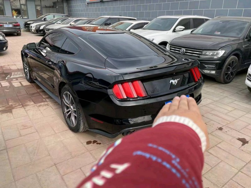 廊坊16年福特野马8