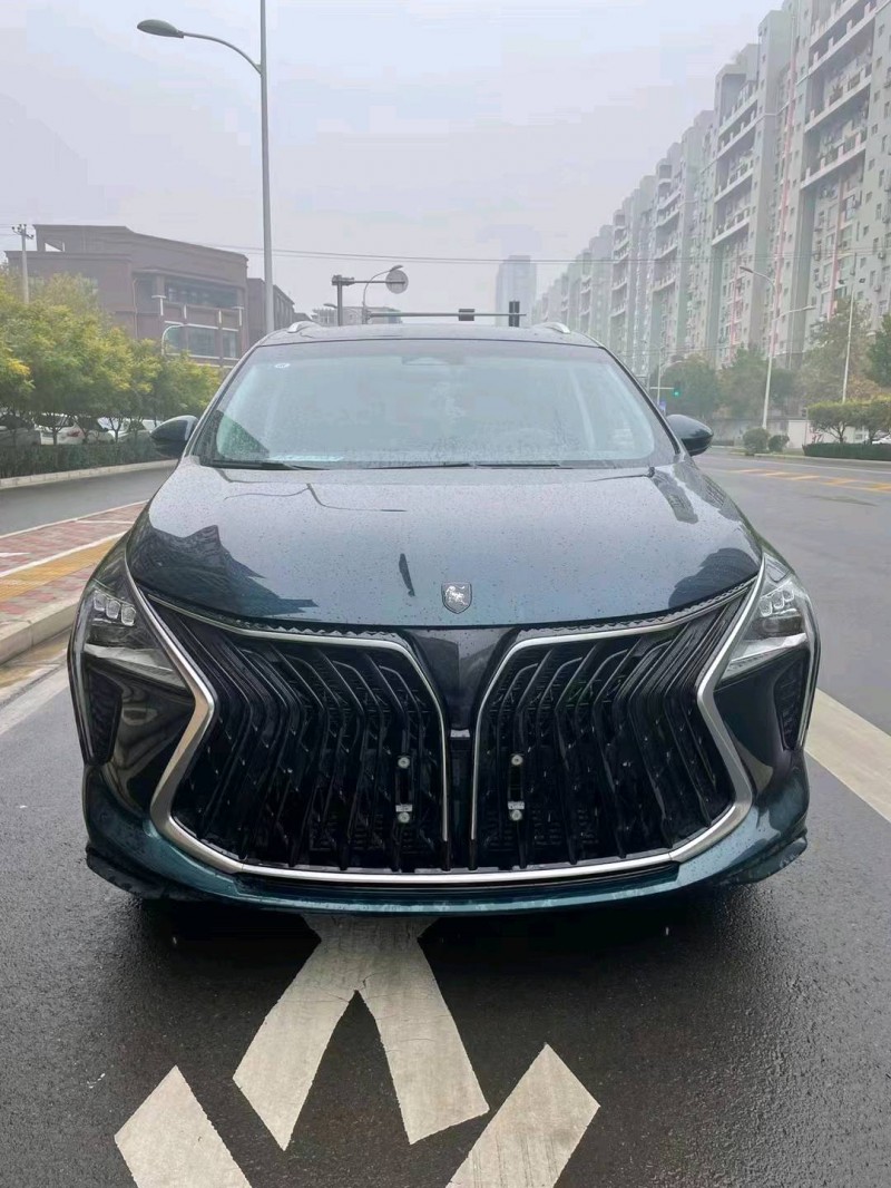 邯郸22年东风风行游艇1