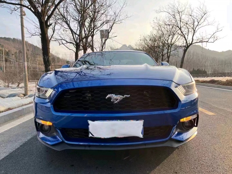 枣庄17年福特野马1