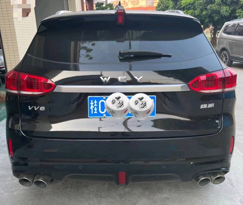 广州20年长城汽车WEY VV61