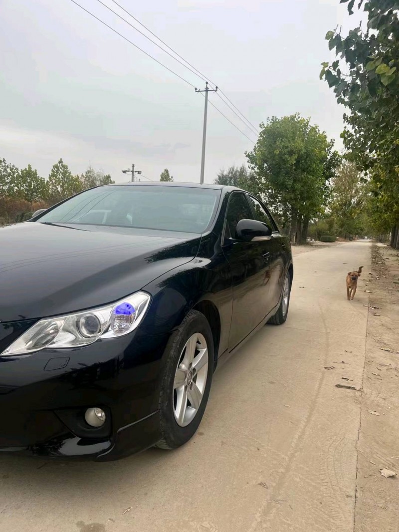 保定12年丰田锐志2