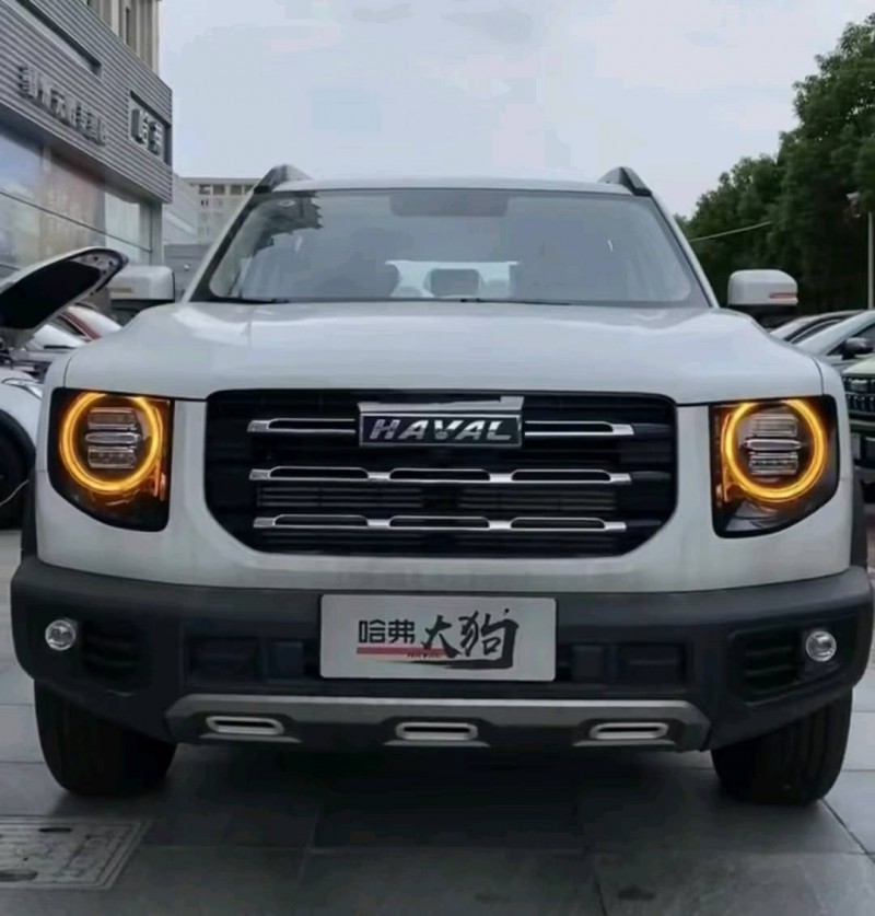 保定21年哈弗大狗1