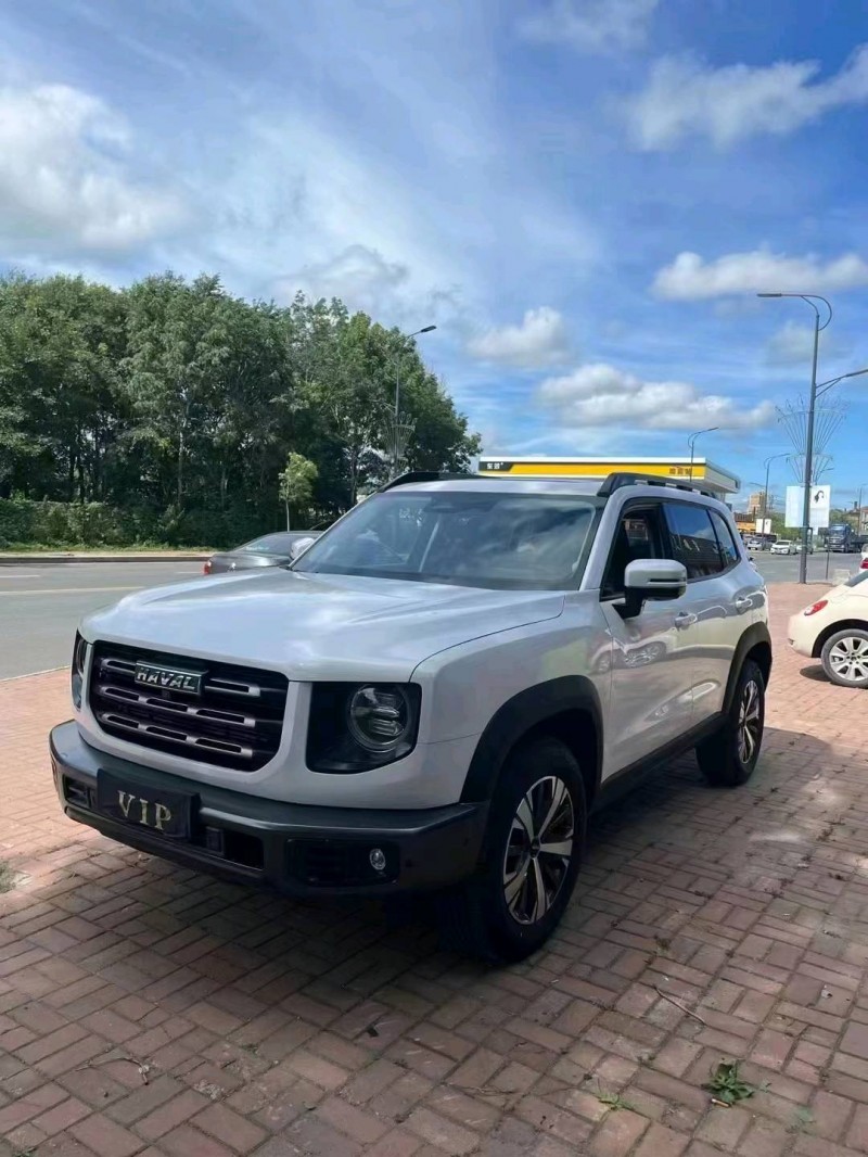 保定21年哈弗大狗2