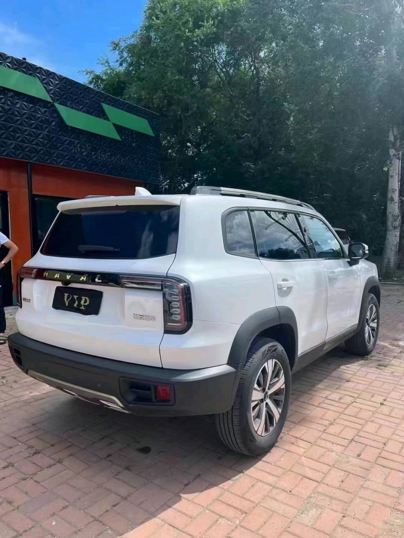 保定21年哈弗大狗3