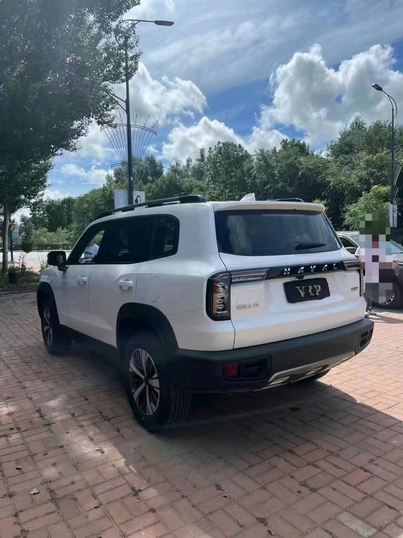 保定21年哈弗大狗5